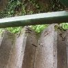 DSC09104.jpg