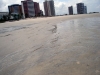 DSC07270.jpg