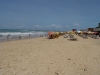 DSC00353.jpg