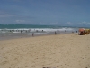 DSC00354.jpg