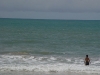 DSC00355.jpg