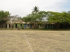 DSC00397.jpg