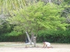 DSC00413.jpg