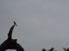 DSC00415.jpg