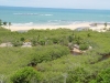 DSC00417.jpg