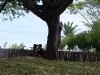 DSC00426.jpg