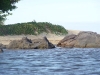 DSC00455.jpg