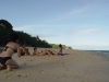DSC00459.jpg