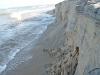 DSC00464.jpg
